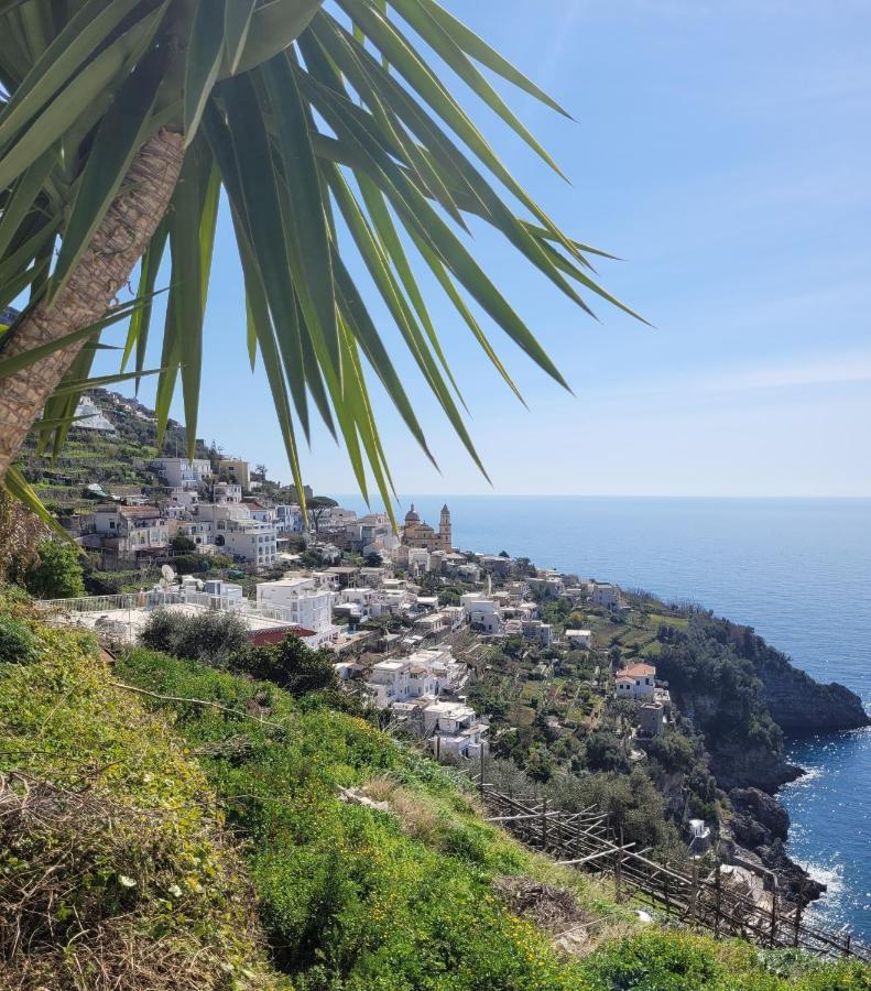 Terrazza Di Rosa - Sea View Villa Praiano Eksteriør bilde